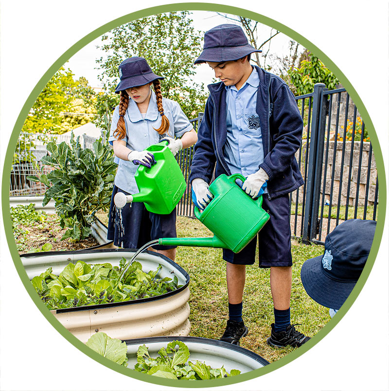 St Canice's Primary Katoomba Student Wellbeing