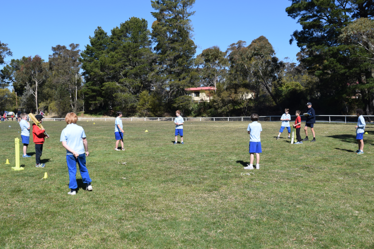 Milo Cricket Day