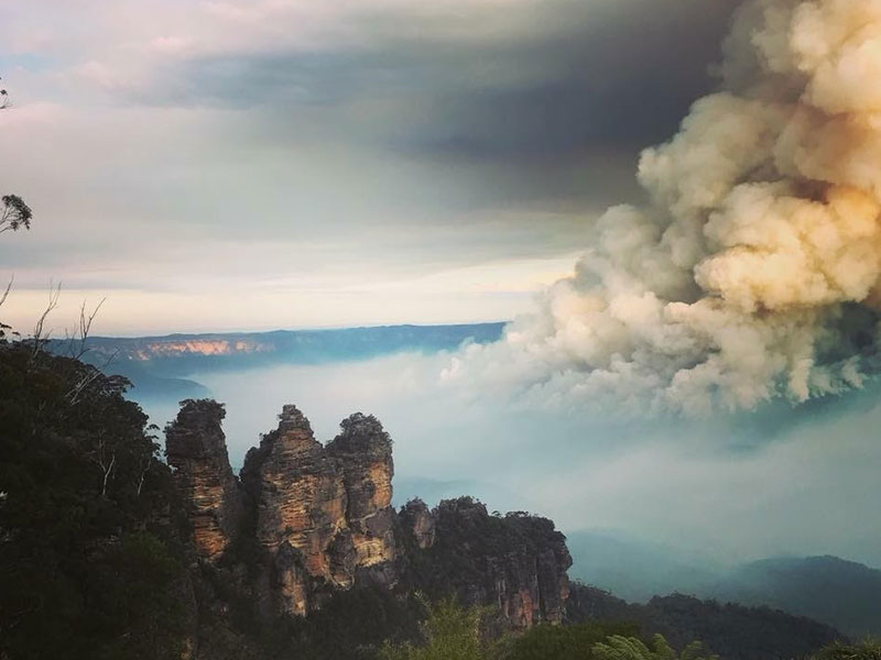 An art piece showcasing bushfires