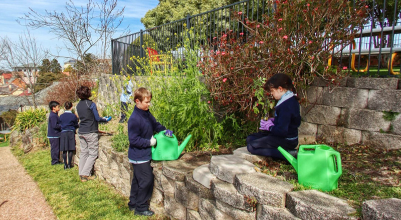 Indigenous Gardens available at St Canice's Catholic Primary Katoomba