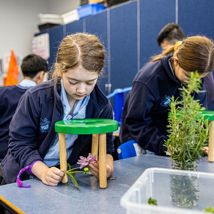 St Canice's Catholic Primary Katoomba