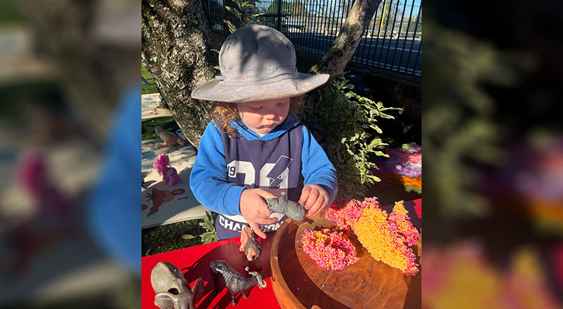 Little Lyrebirds Playgroup is a FREE event for all little ones aged 0 to 6