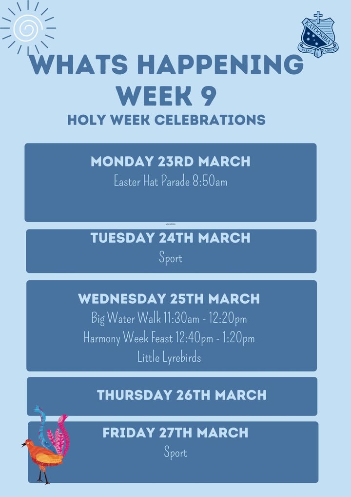 426379072836953_1438512881623562-1