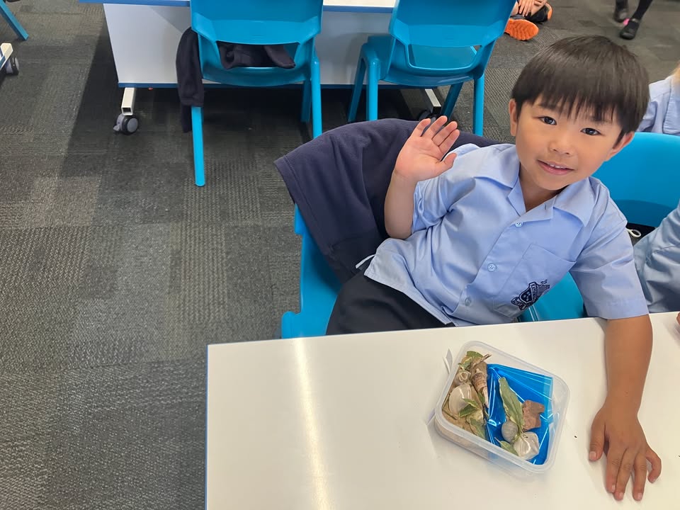 426379072836953_1442117654596418-1